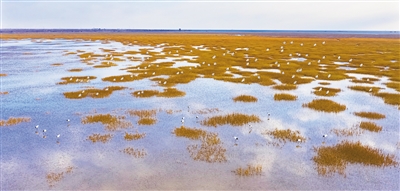 W020231010350023388257 W020231010350023388257